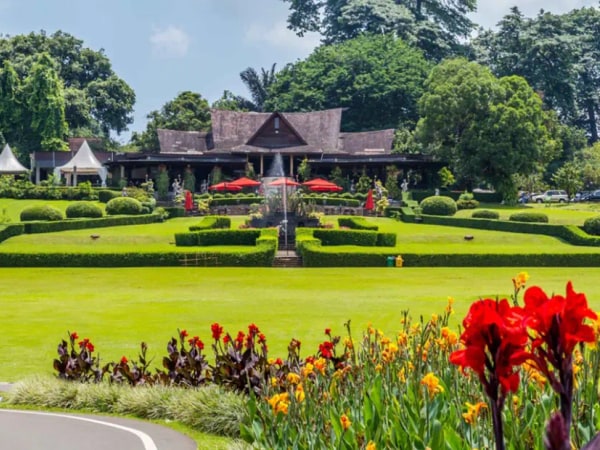 Full Day Bogor Botanical Garden And Puncak Highland Tour